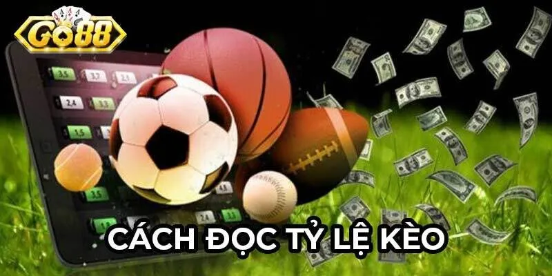 Cách đọc tỷ lệ kèo